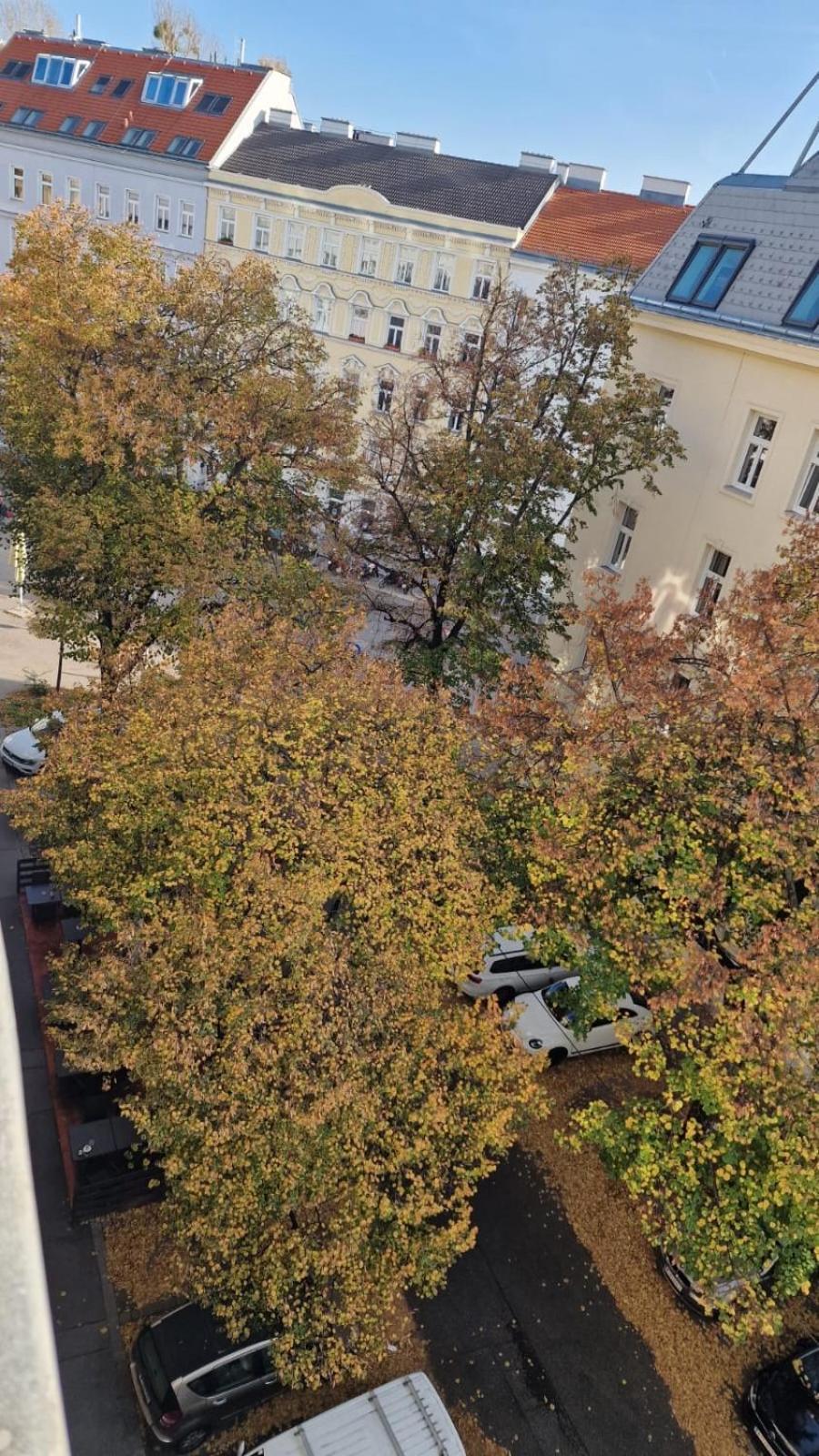 Apartment Messe-wien Luminous Flat Wien